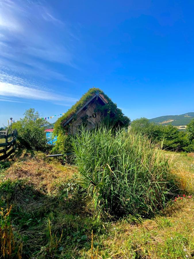Boulieu-les-Annonay La Colline Seiveヴィラ エクステリア 写真